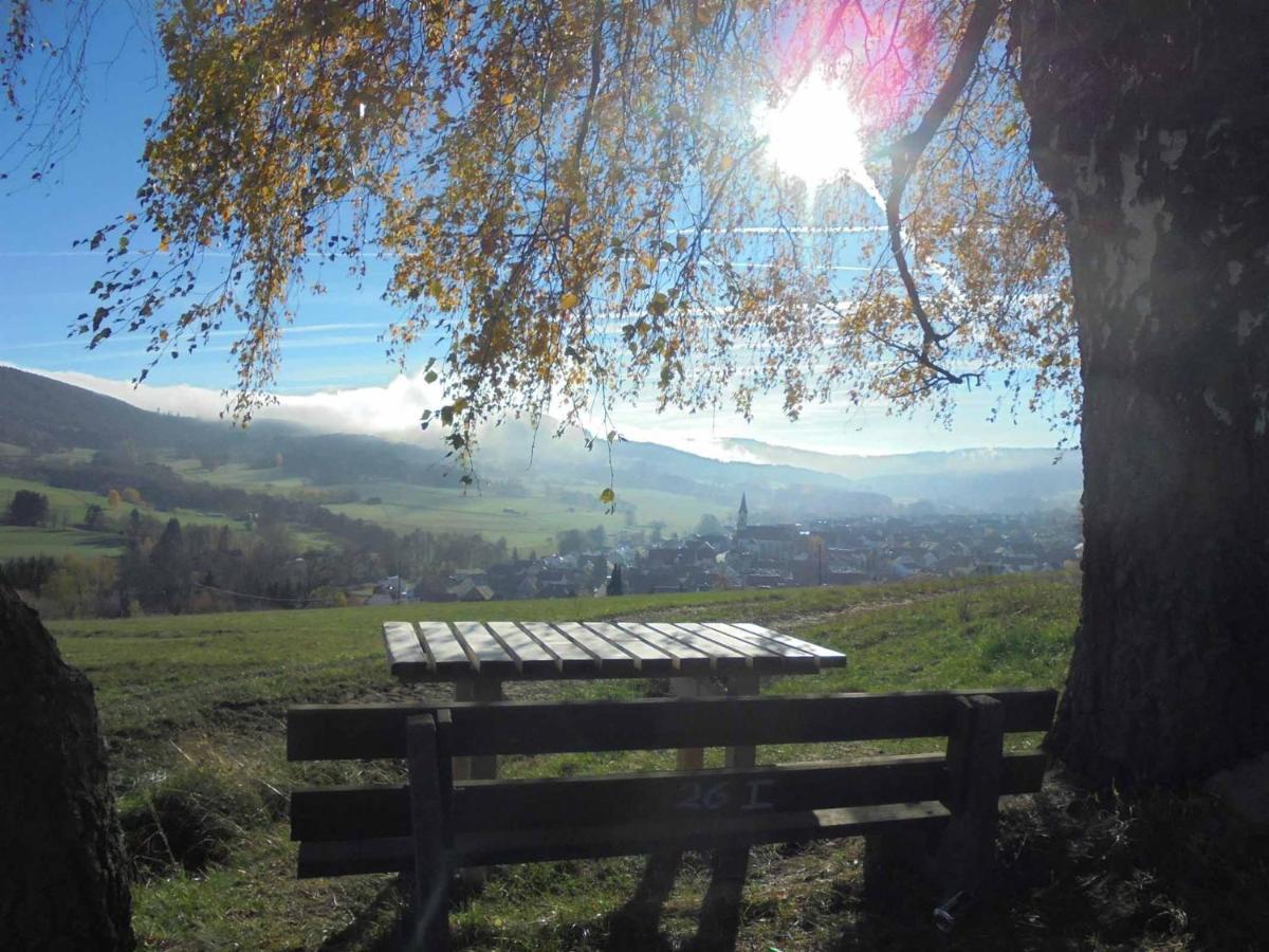 Rhoener Landhotel Haus Zur Wasserkuppe Ehrenberg  Esterno foto